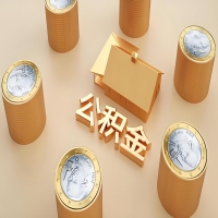 2026陇南公积金代取代办新攻略：离职/封存公积金代取全搞定！